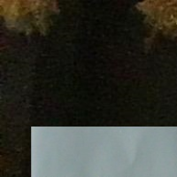 Dr. Anjali K. - Ph.D. Biotechnology - Subject Matter Expert from Kolabtree