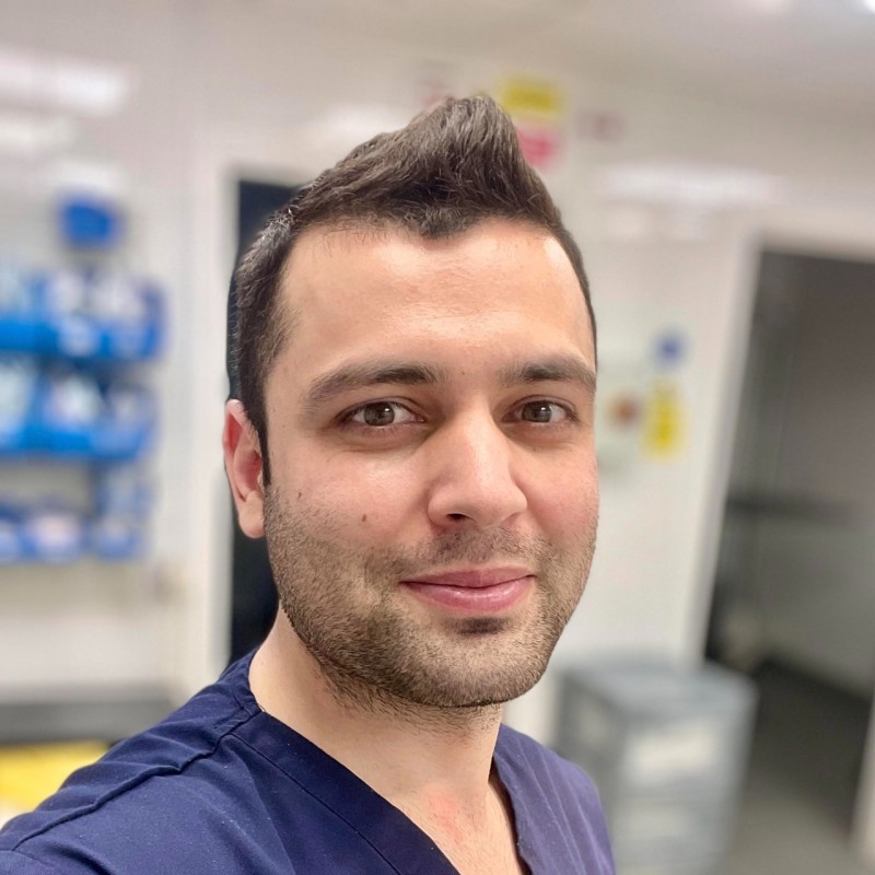 ameer hamza veterinary pathology freelance expert