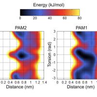Yasir A. - Mphil Bioinformatics - National Centre for Bioinformatics - Subject Matter Expert from Kolabtree