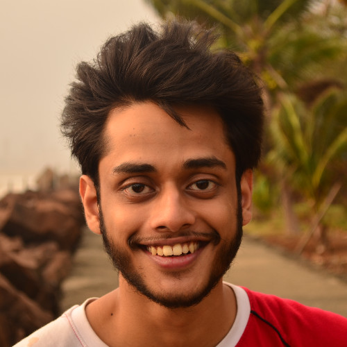 Debdutta P. - Bachelor of Science - Physics - Subject Matter Expert from Kolabtree