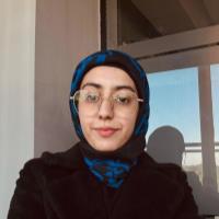 Sibgha A. - Masters of Business Administration - Subject Matter Expert from Kolabtree