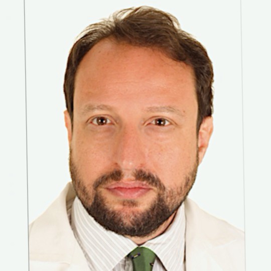 ralph papas academic writing freelance expert