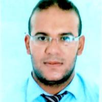 Yahia A. - PhD in Audit & Management Control - Subject Matter Expert from Kolabtree