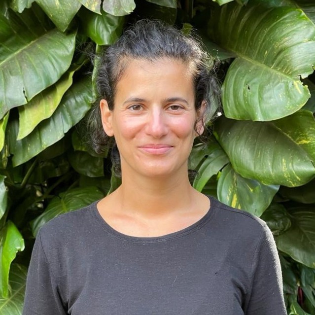 hire freelance product development expert rita morais tavares