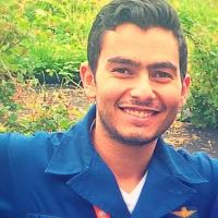 Ahmed A. - Dual Master Degree in Advanced Ship Technology (TUHH - ALEXU) - Subject Matter Expert from Kolabtree