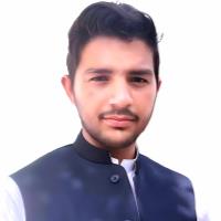 Hamad Z. - DPT - Subject Matter Expert from Kolabtree