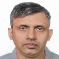 choudhury praharaj semiconductors freelance expert