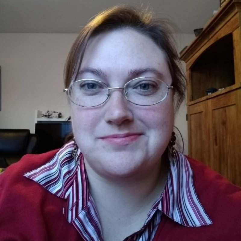 nancy roche literary theory criticism freelance expert