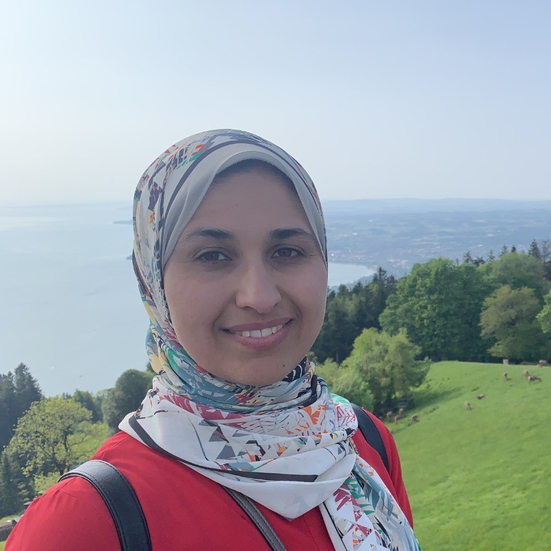 Hebatullah A. - M.Sc (Master of Science) - Subject Matter Expert from Kolabtree