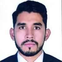 Luis Gerardo B. - PhD Biomedical Sciences - Subject Matter Expert from Kolabtree