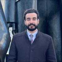 IBRAHEEM R. - PhD - Subject Matter Expert from Kolabtree