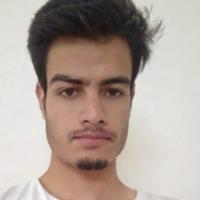 Faizan S. - General Management Program - Subject Matter Expert from Kolabtree