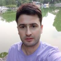 m riaz article writing freelance expert