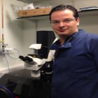 francesco paduano stem cells consultant for hire