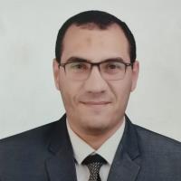 Diaa O. - Ph.D in Nano-Bio Chemistry - Subject Matter Expert from Kolabtree