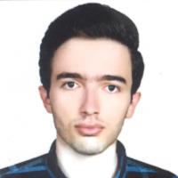 Seyed Mohsen M. - ph.D - Subject Matter Expert from Kolabtree