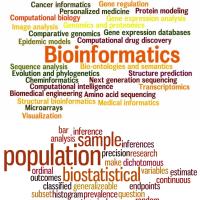 Bandhan  S. - M.Sc - Statistics - Subject Matter Expert from Kolabtree