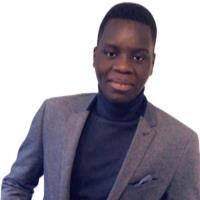 Ibrahima N. - Master’s Degree in Artificial Intelligence and Big Data, Data Scientist - Subject Matter Expert from Kolabtree