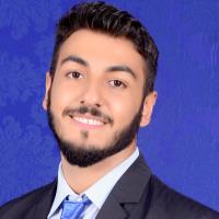 jordan brizi neris inorganic chemistry freelancer for hire