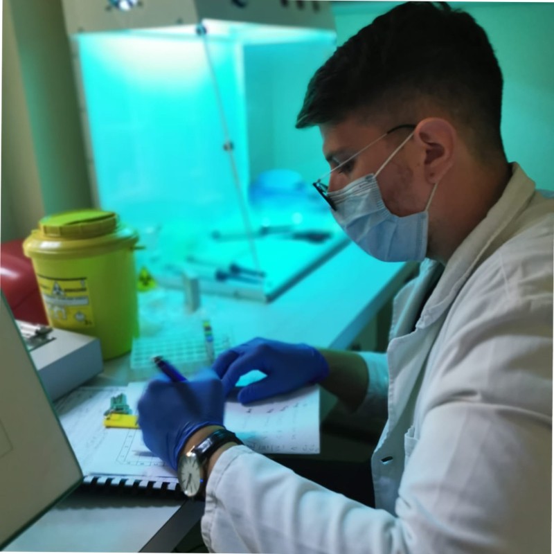 igor spasi pcr freelance expert