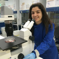 Rosalía F. - PhD - Cell Biology - Subject Matter Expert from Kolabtree