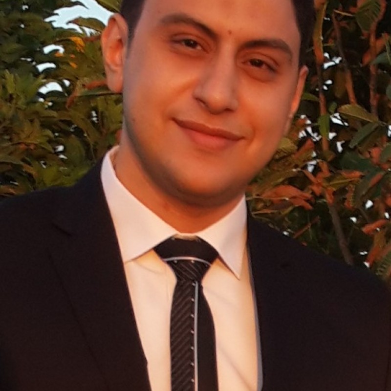 Ahmed E. - PhD - Subject Matter Expert from Kolabtree