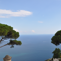 amy brenner data management freelancer for hire