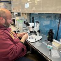 Cosmin S. - Bachelor’s in Biological sciences - Subject Matter Expert from Kolabtree