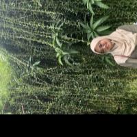 Ramy Fitrah I. - Master of Science (MS) - Subject Matter Expert from Kolabtree