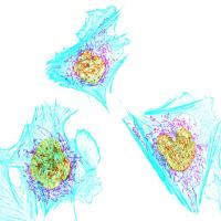 G G. -  - Subject Matter Expert from Kolabtree