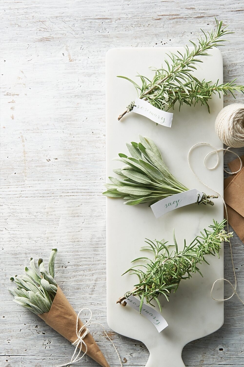 Rosemary and sage herbs