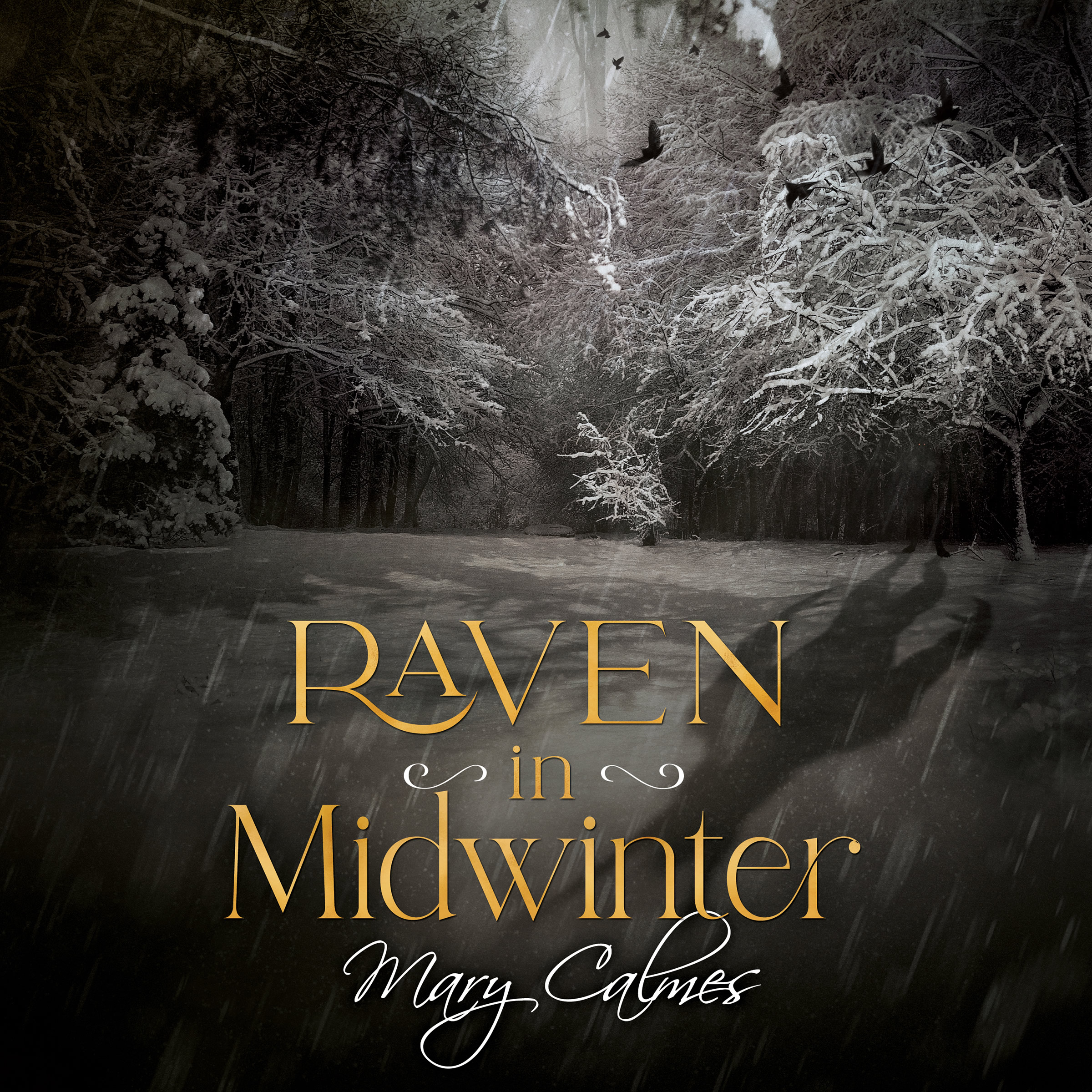 Raven in Midwinter