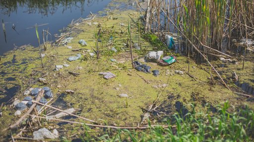 Lakes and rivers are too polluted to swim in