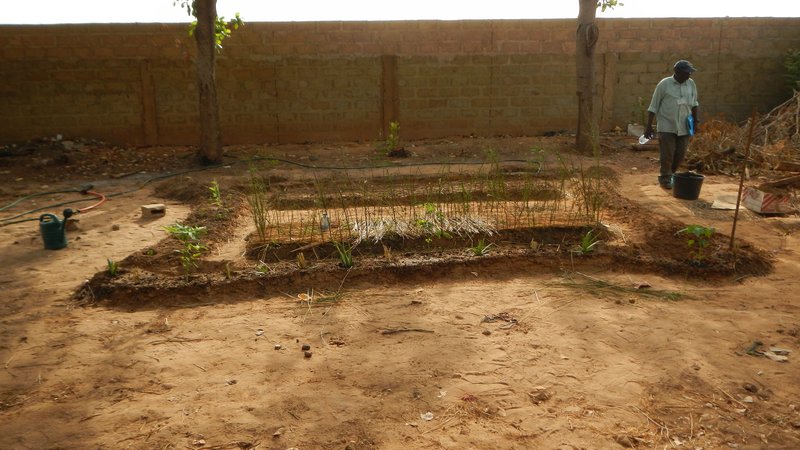 Climate-smart permagardening