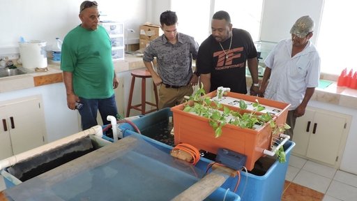 Andy and his CPs looking at Tilapia farming