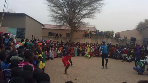 Eileen Malaria Game