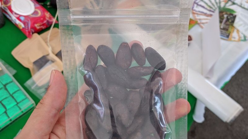 Chocolate Article 4.jpeg