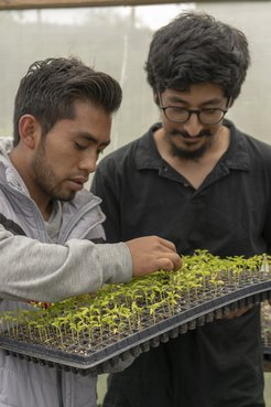 DanielBracamontes3_FTF_Guatemala
