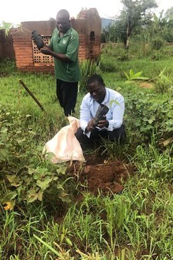 Two men holding bamboo seedlings, preparing to plant them in the ground they have prepared