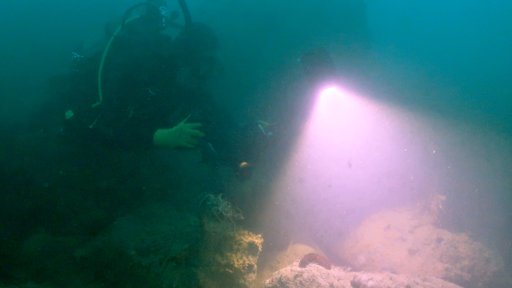 Doing the first dive survey and species inventory of the site with researchers.