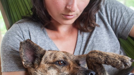A female Peace Corps Volunteer sits in a hammock with her dog.