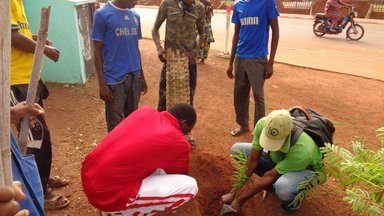 tree planting