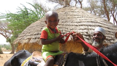 A child atop a horse in Niger.