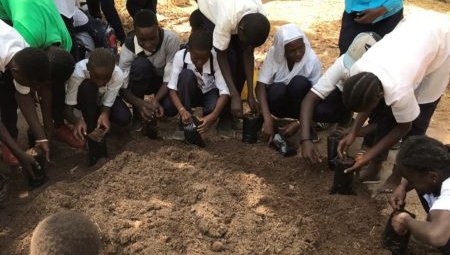 Students gather around a compost pile outside.