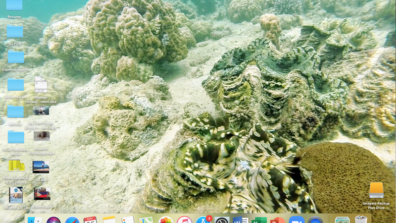 A screenshot of a computer screen, the background is a giant clam in the ocean