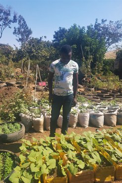 A Malawian man stands in front of rows of his garden