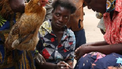 fish pond entrepreneurship