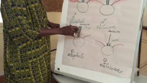 Entomology Training