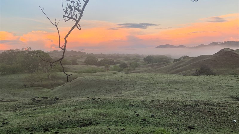 Rolling green hills under a multicolored sky.