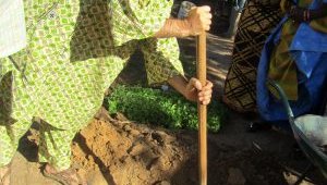 agriculture training